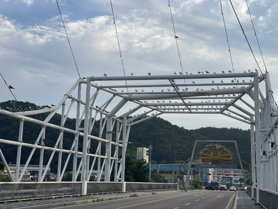 강구기사식당 사진 1