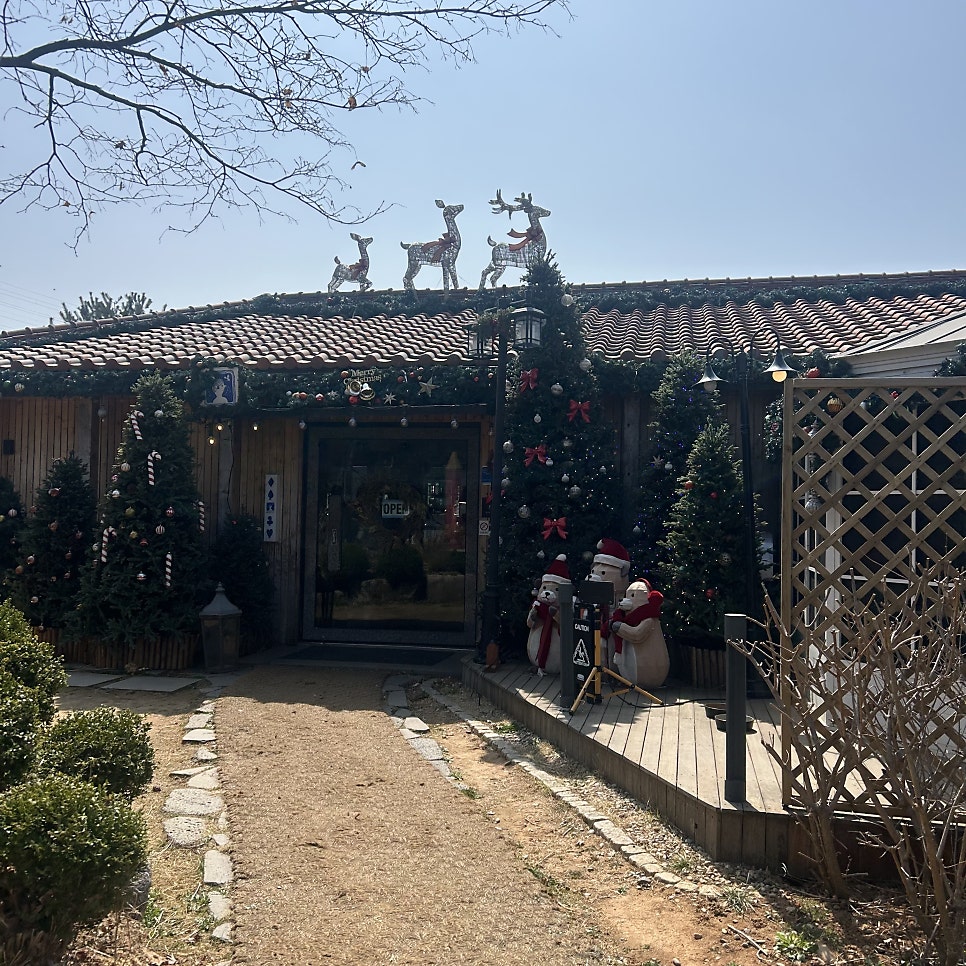 마크로스터스 사진 4
