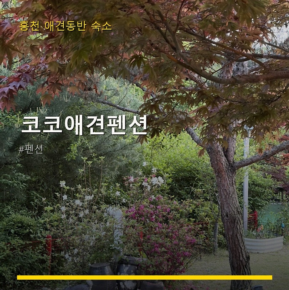 코코애견펜션 사진 1