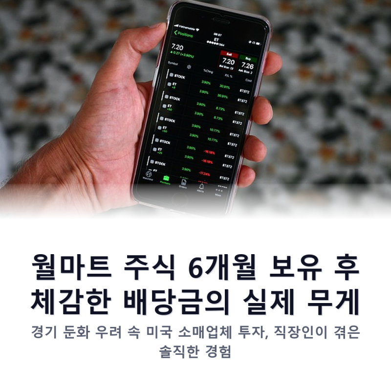 월마트 주식 6개월 보유 후 체감한 배당금의 실제 무게, 미국 소매업체 투자 경험담