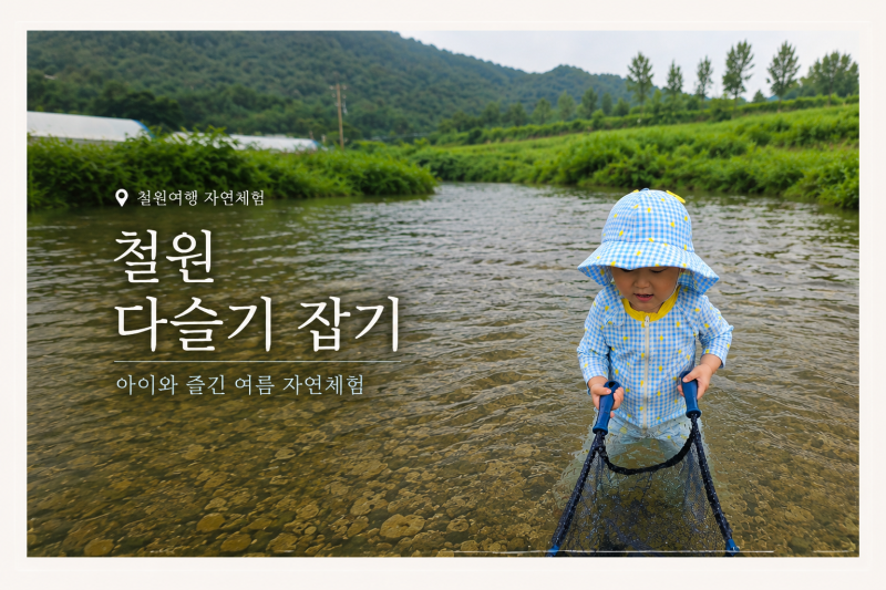 [강원/철원] 아이와 철원 하천에서 다슬기 잡기