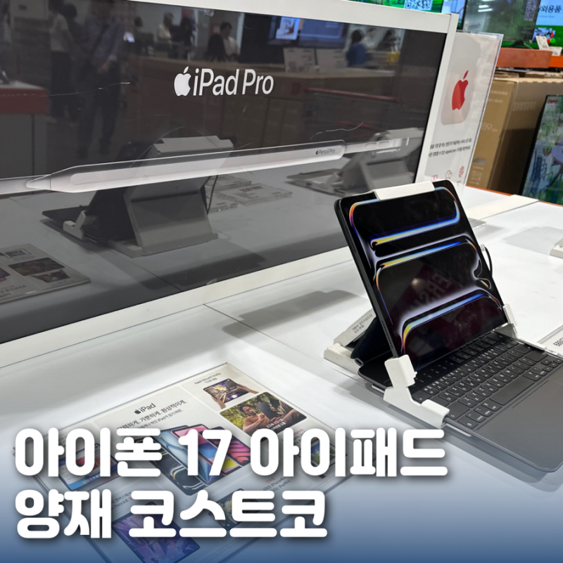 7월 코스트코 아이패드 아이폰17 애플워치 가격 정리