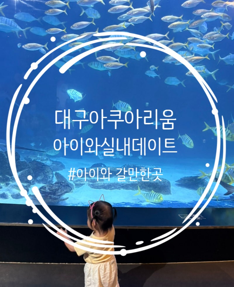 대구신세계백화점 대구아쿠아리움, 아이와 여름실내데이트, 위시캣콜라보이벤트,하프연간....