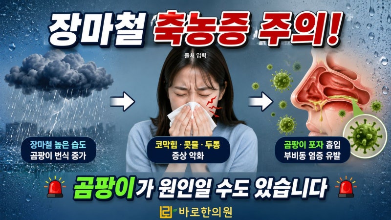 [용인수지 곰팡이성 축농증한의원] 장마철 곰팡이성(진균성) 축농증, 코막힘과 누런 콧물이 ....