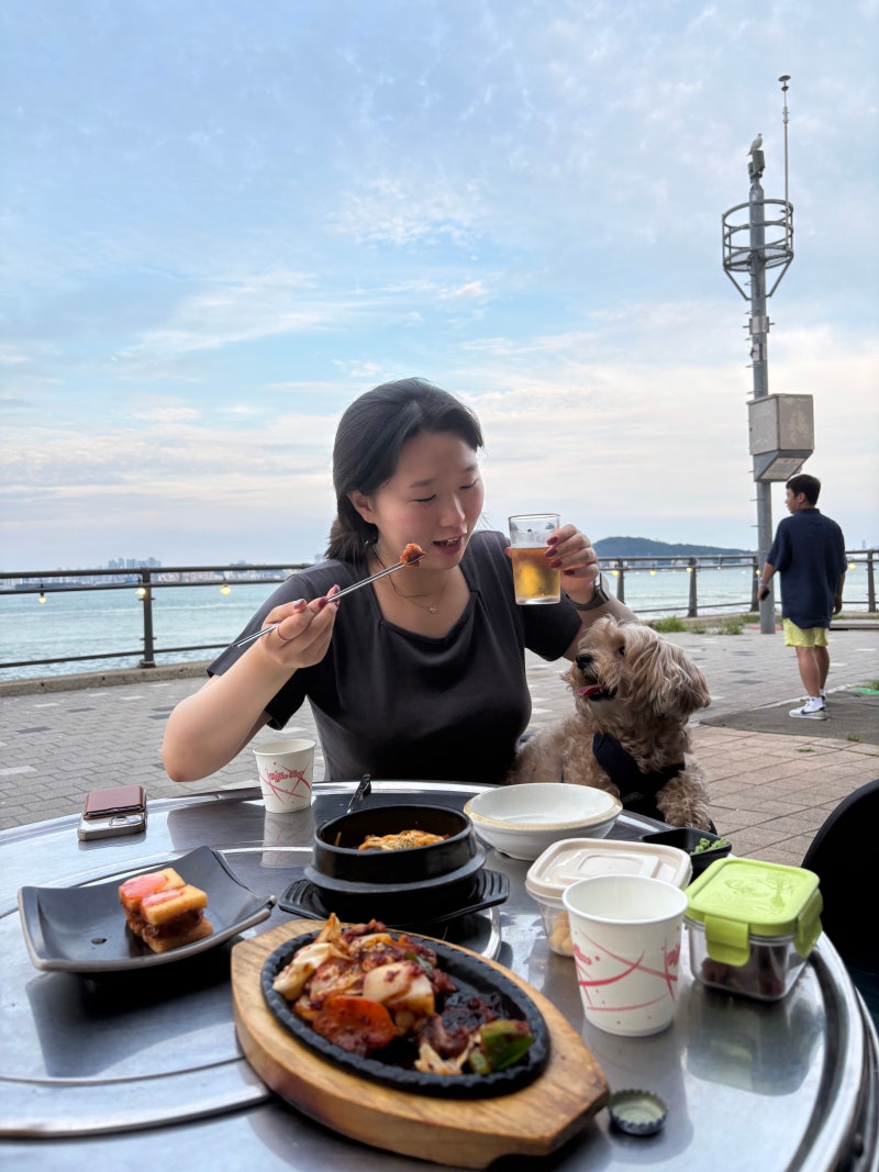 2508 [영종도여행 1일차下(2)] 영종도 애견동반+오션뷰 식당 회 & 조개구이 맛집 " 아라담 " 내돈....