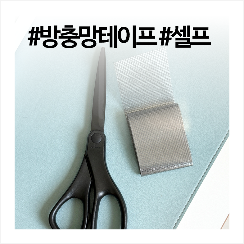 3M과 다이소 방충망 테이프로 구멍 쉽게 셀프 보수한 후기