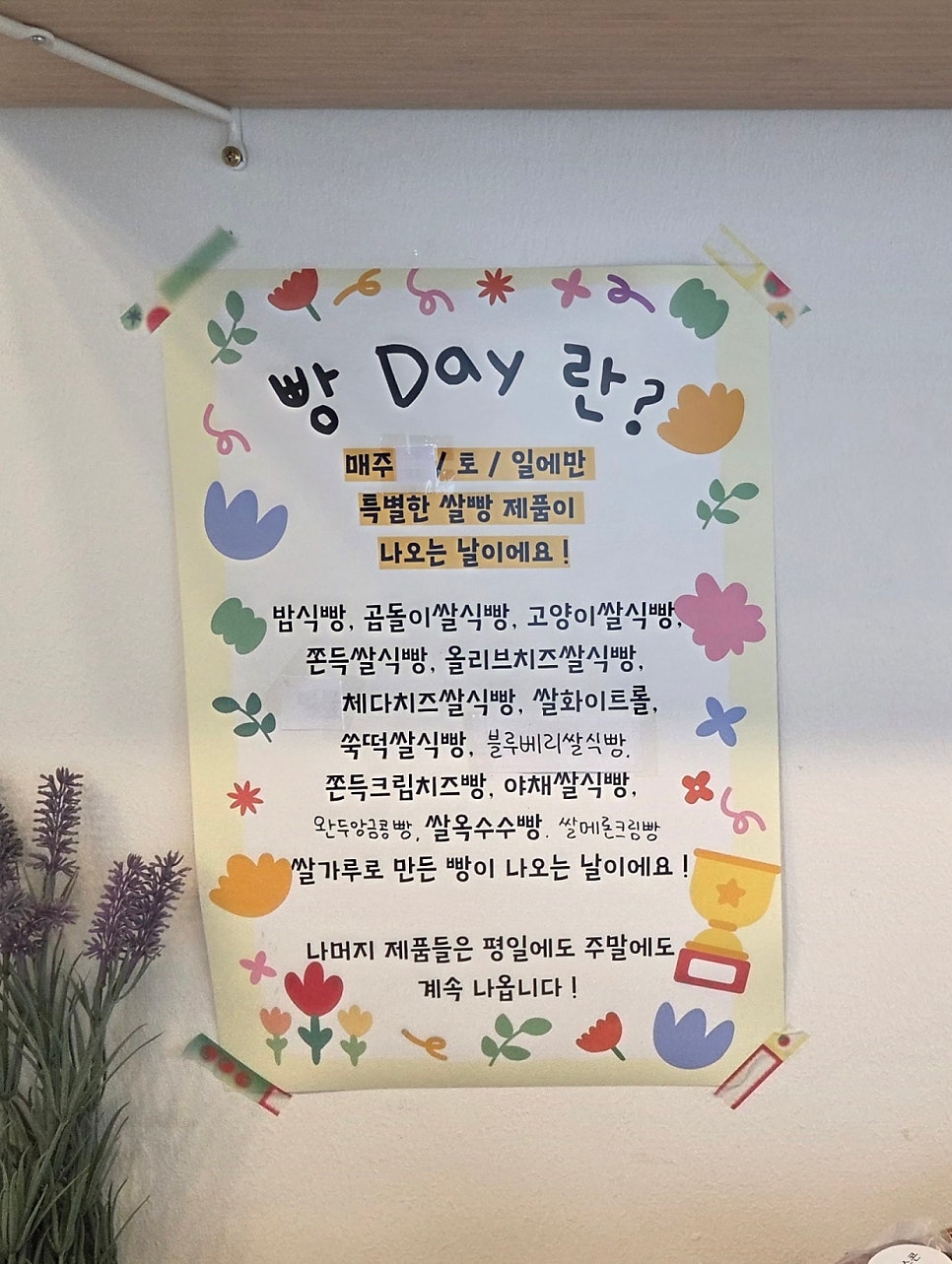 오늘도오솝 사진 2