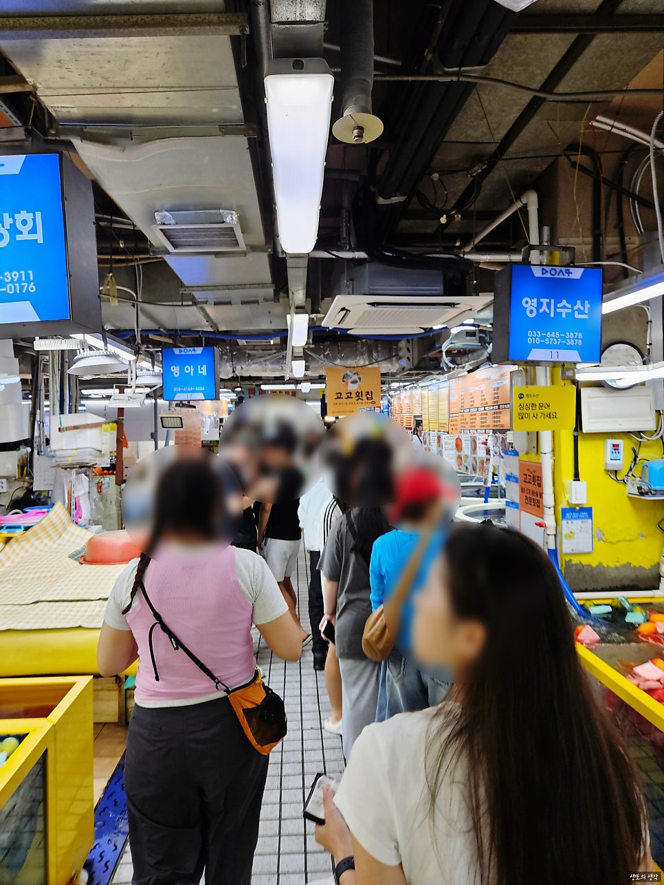 고고횟집 사진 4