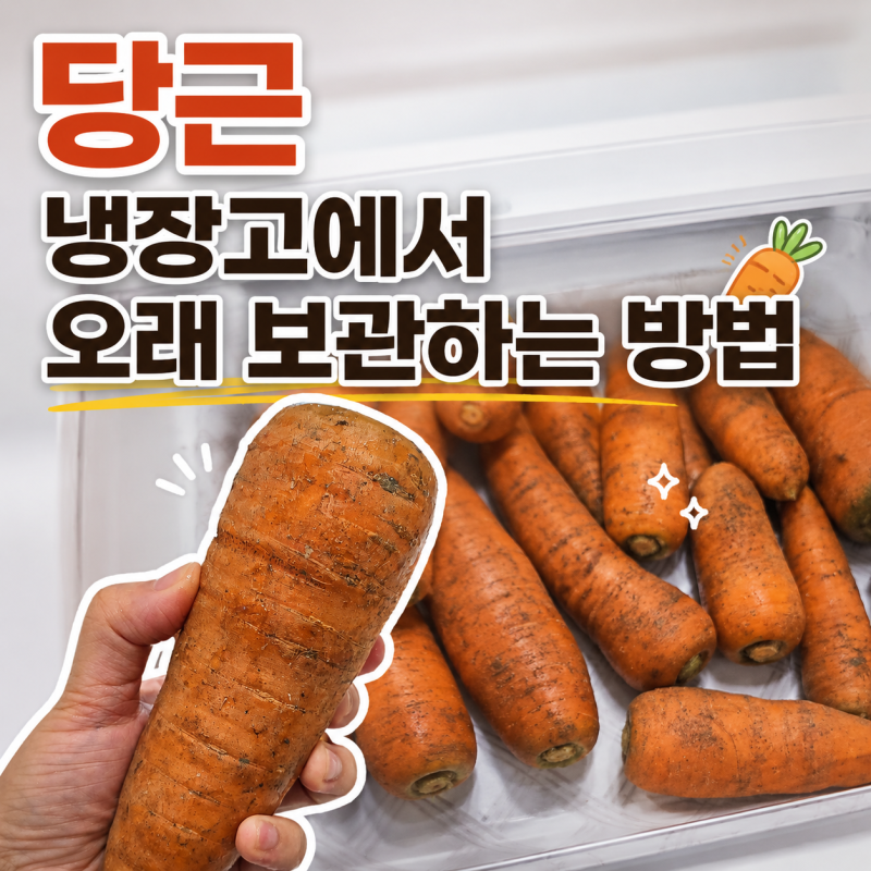 당근 냉장보관, 이렇게 하세요! 한 달이상 신선하게 보관하는 방법