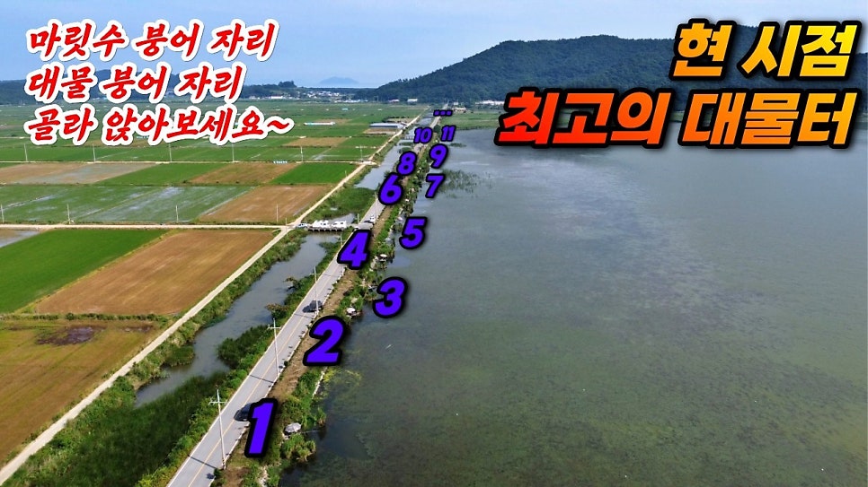 완도호 사진 1