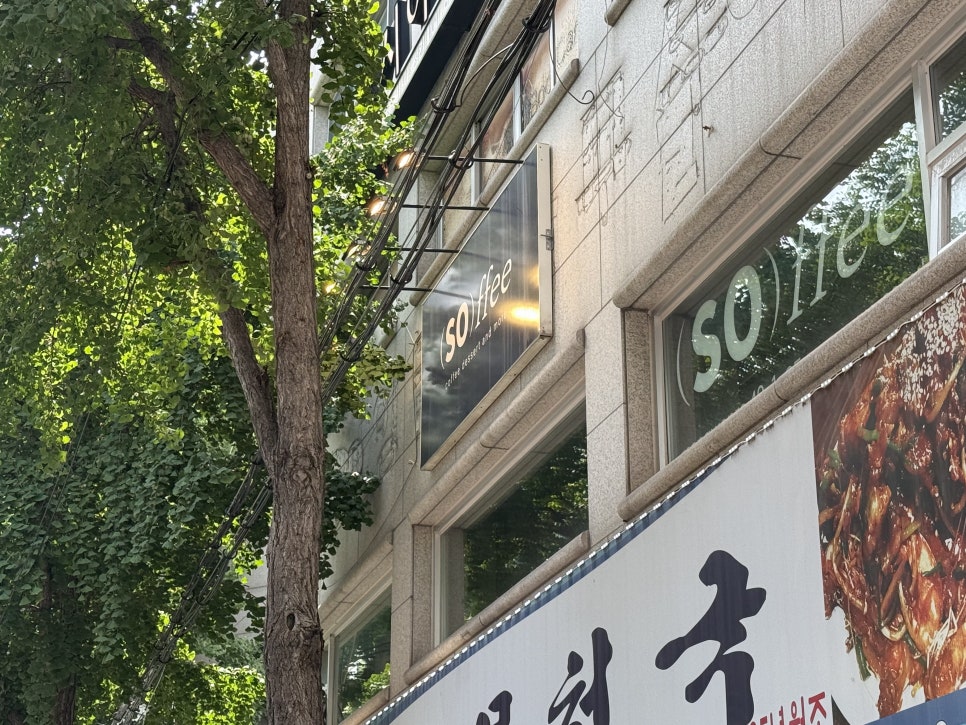 소피 사진 2