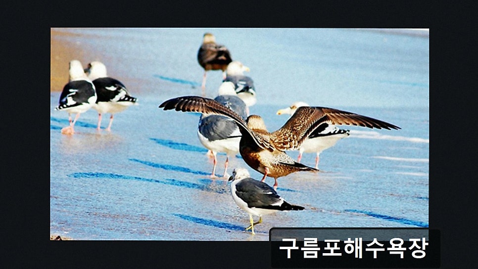 구름포해수욕장 사진 3