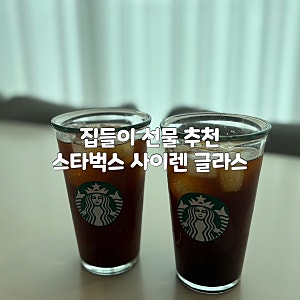 스타벅스 사이렌 글라스컵 한 달 사용 후기 w.식기세척기 돌려봄