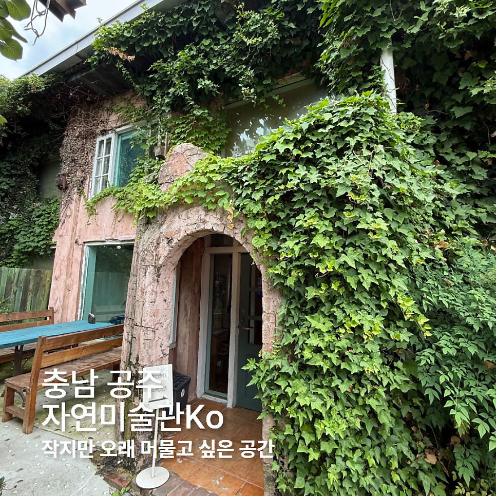 자연미술관Ko 사진 1