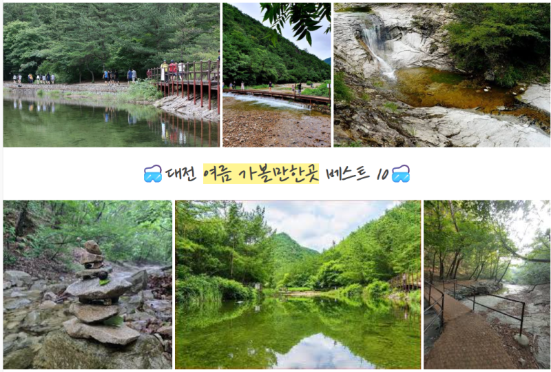 대전 여름 가볼만한곳 당일치기 여행 주말 나들이 코스 베스트 10 무더위 싹 날리는 시원한 ....