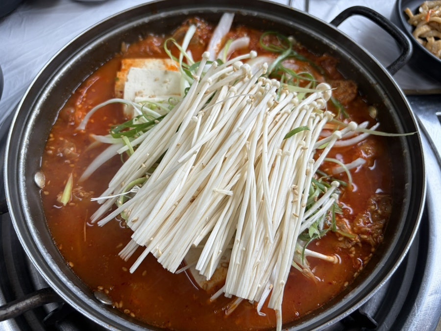 터줏대감 사진 6