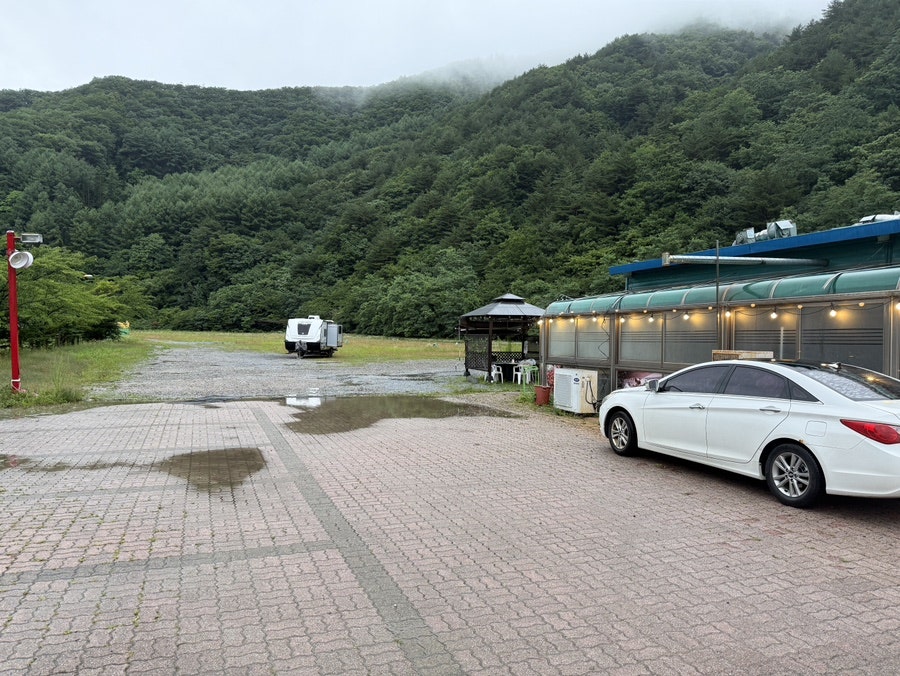 태백알리소 사진 2