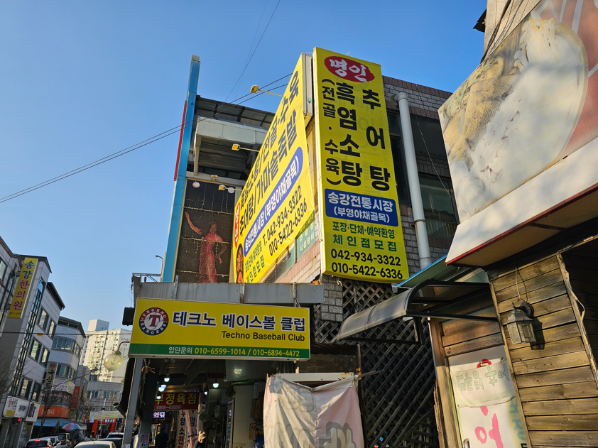 흑염소가 사진 1