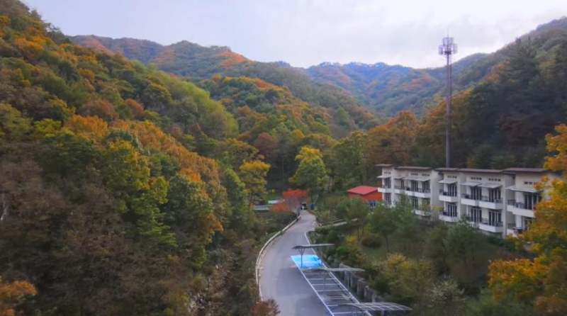 [청주 상당산성자연휴양림] 주말 예약 명당 선점 팁 & 가족 숲캉스 핵심 백서