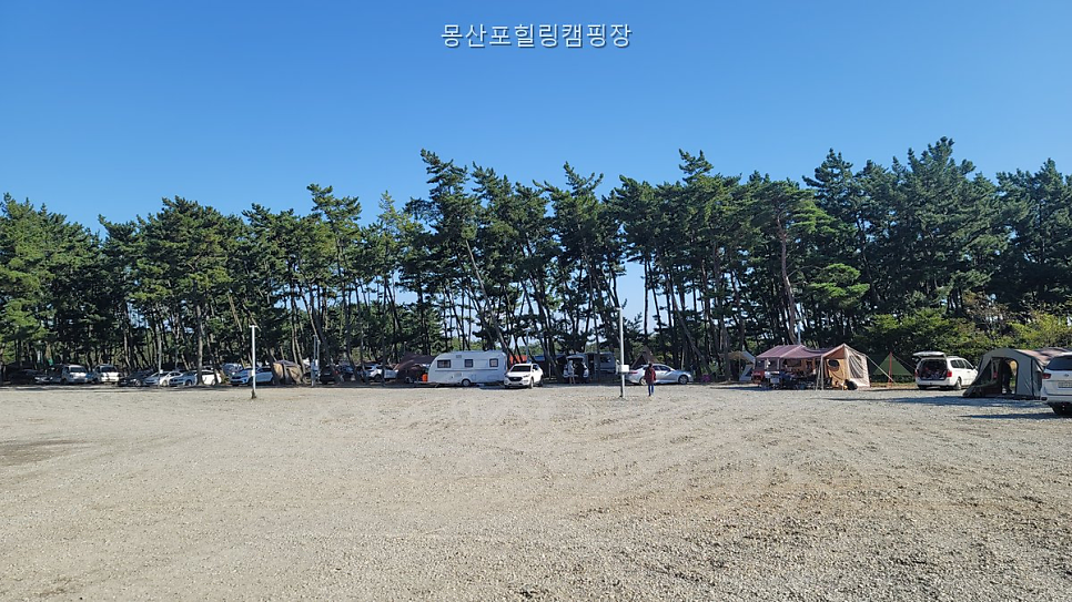 몽산포힐링캠핑장 사진 1