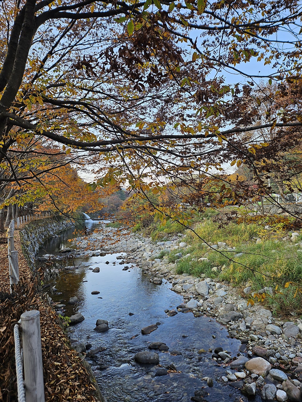 유명산밸리 사진 6