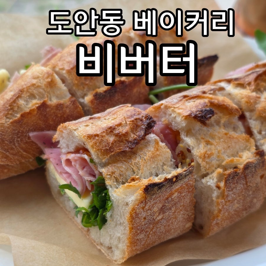 비버터 사진 1