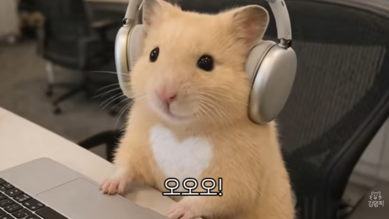 스테니 프라이팬 사용하기