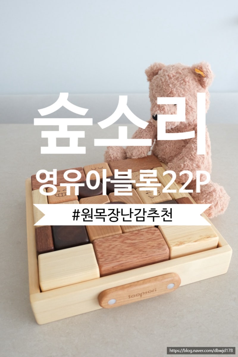 13개월 아기 장난감 추천 ㅣ 숲소리 원목교구 영유아블록 22P 로 다양하게 놀기