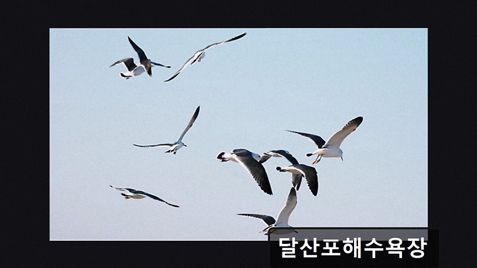 달산포해수욕장 사진 2