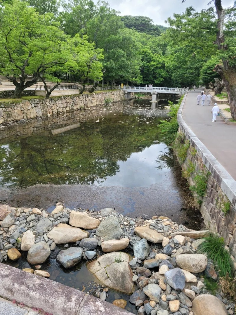 [양산 통도사] 마음이 평온해지는 사찰 순례 (주차 꿀팁, 가람각, 대웅전, 사리탑 참배 일정, ....
