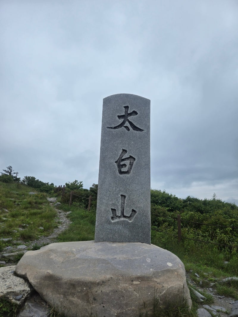 [태백시가볼만한곳] 태백산국립공원 등산코스 유일사,장군봉,천제단코스