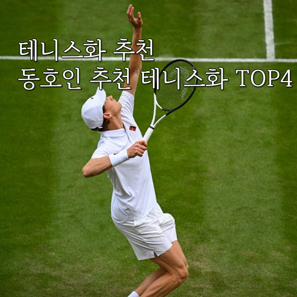 ATP 남자 테니스 프로선수의 테니스화 야닉 시너 즈베레프 알카라즈 조코비치 동호인 추천 테....