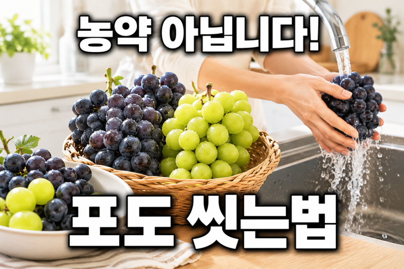 포도 씻는법, 베이킹소다보다 중요한 건 이것입니다