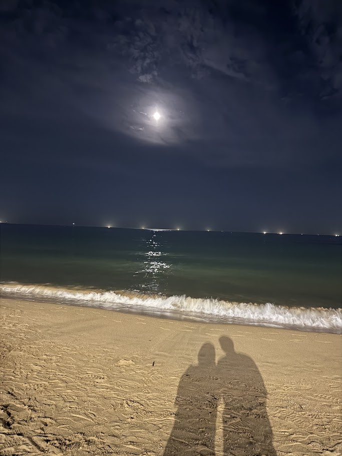 비어웨이브 사진 2