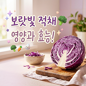 보라색 양배추 적채 효능과 영양 성분, 보관 및 활용법 총정리