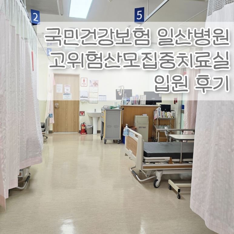 국민건강보험 일산병원 고위험산모집중치료실 장기입원 후기!!