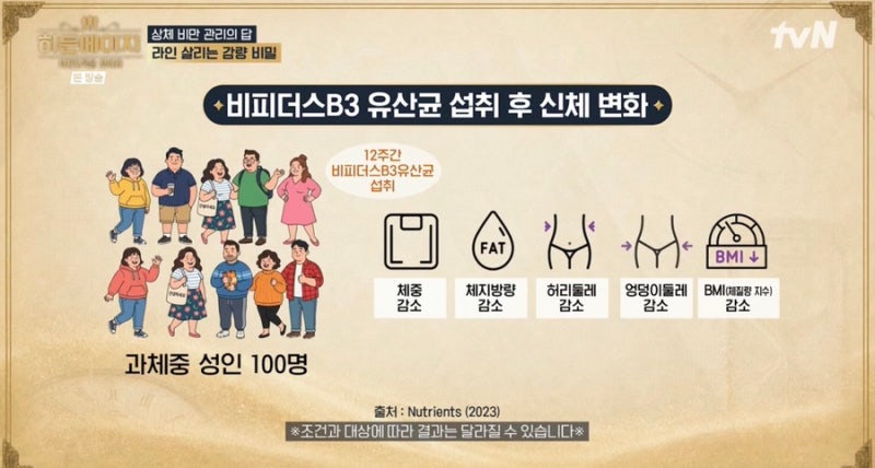 비피더스 B3 유산균 효능 - 체지방 감소부터 장 건강·피부 개선까지 - 히든에이지 13회