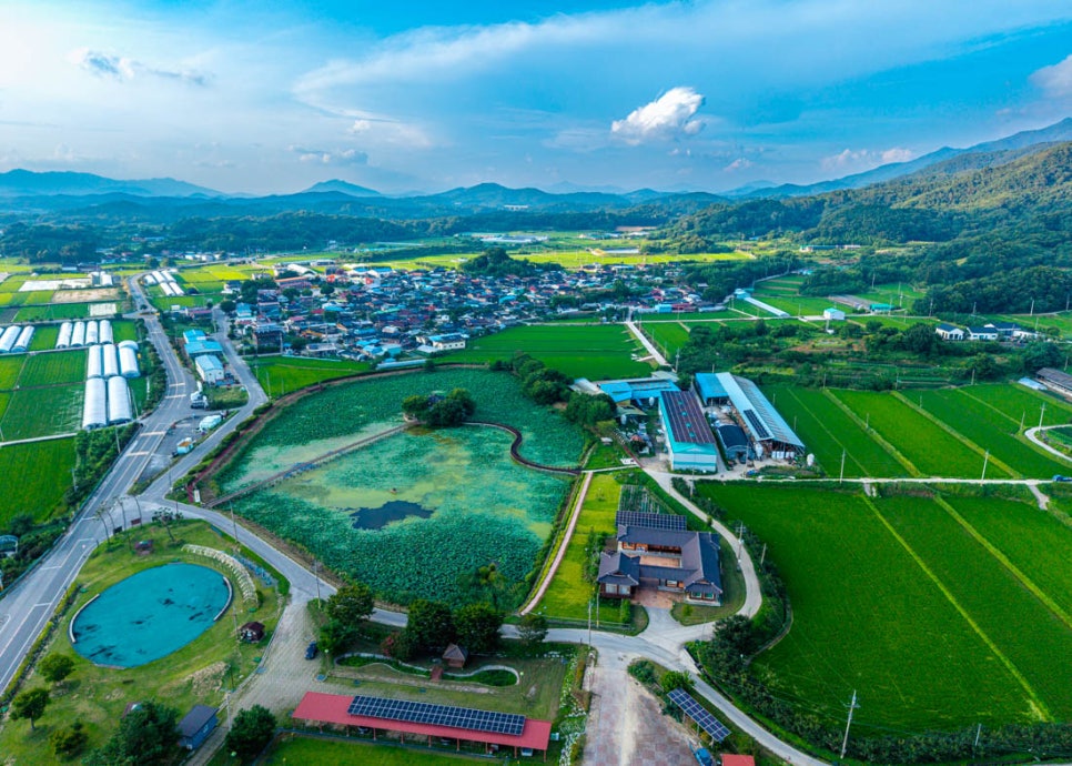 목동제 사진 3