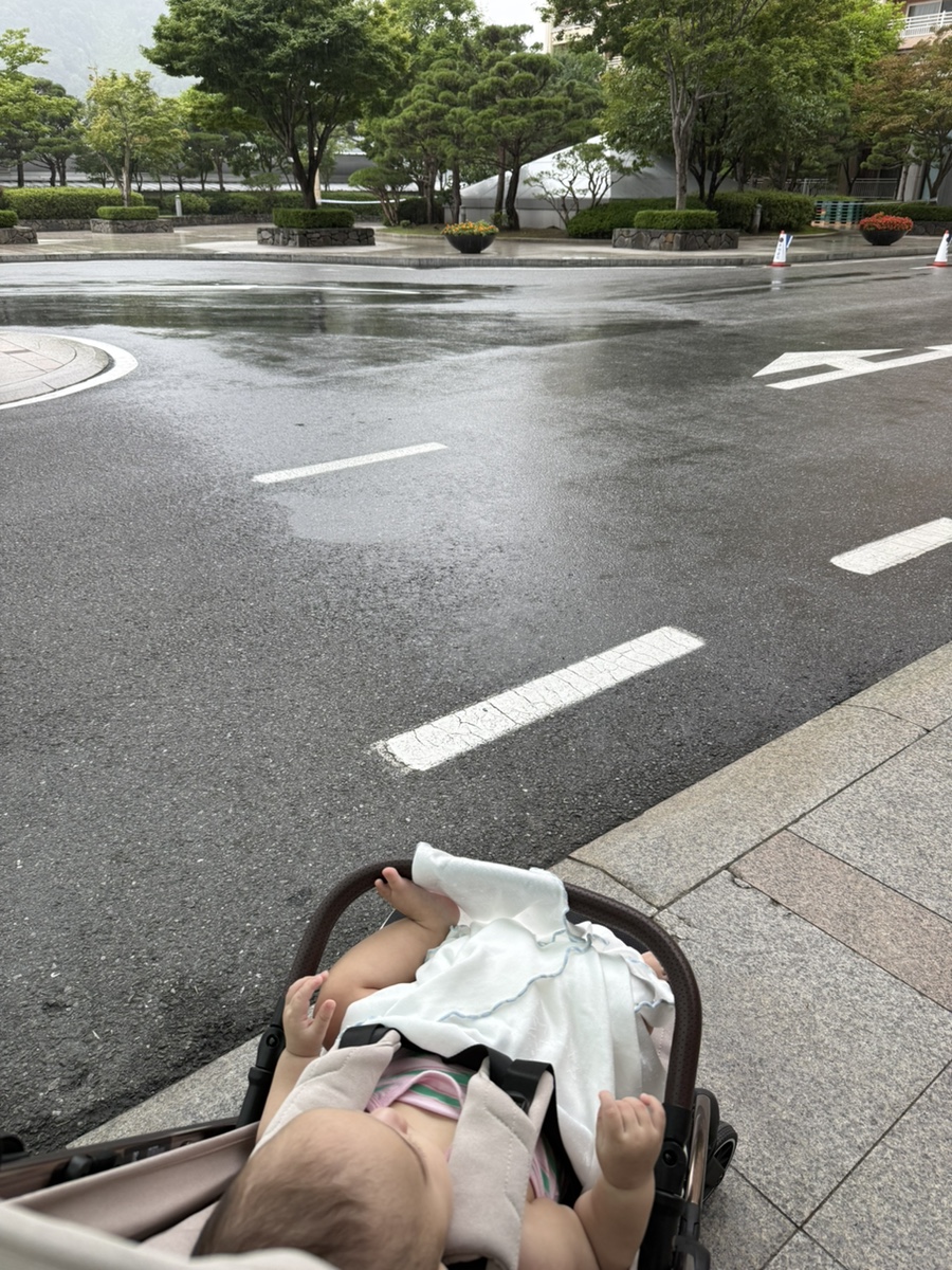 최옥선장금이네 사진 1