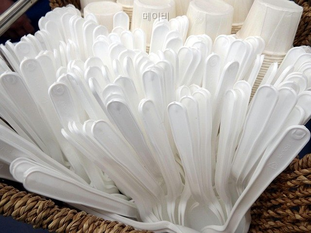 메이비 사진 5