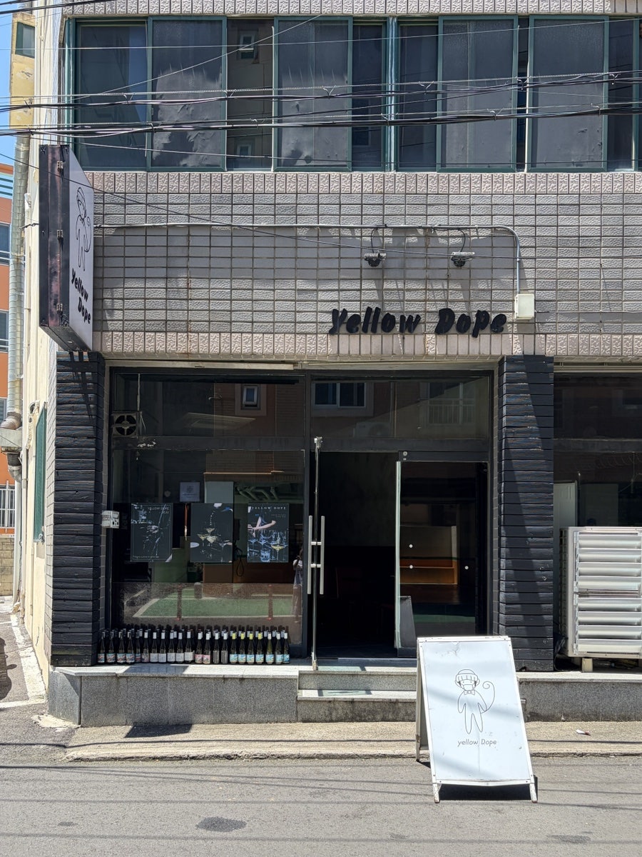 옐로우돕 사진 2