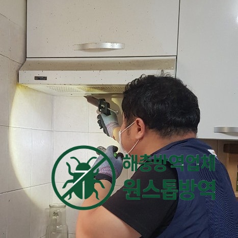 바퀴벌레 집주인? 세입자? 확실한 방역 해결책!