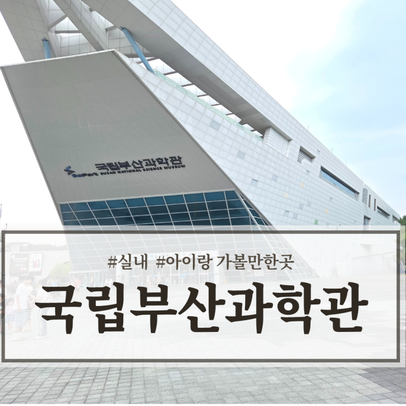 [부산/기장] 국립부산과학관 실내 아이랑 가볼만한 곳 체험 및 관람 정보