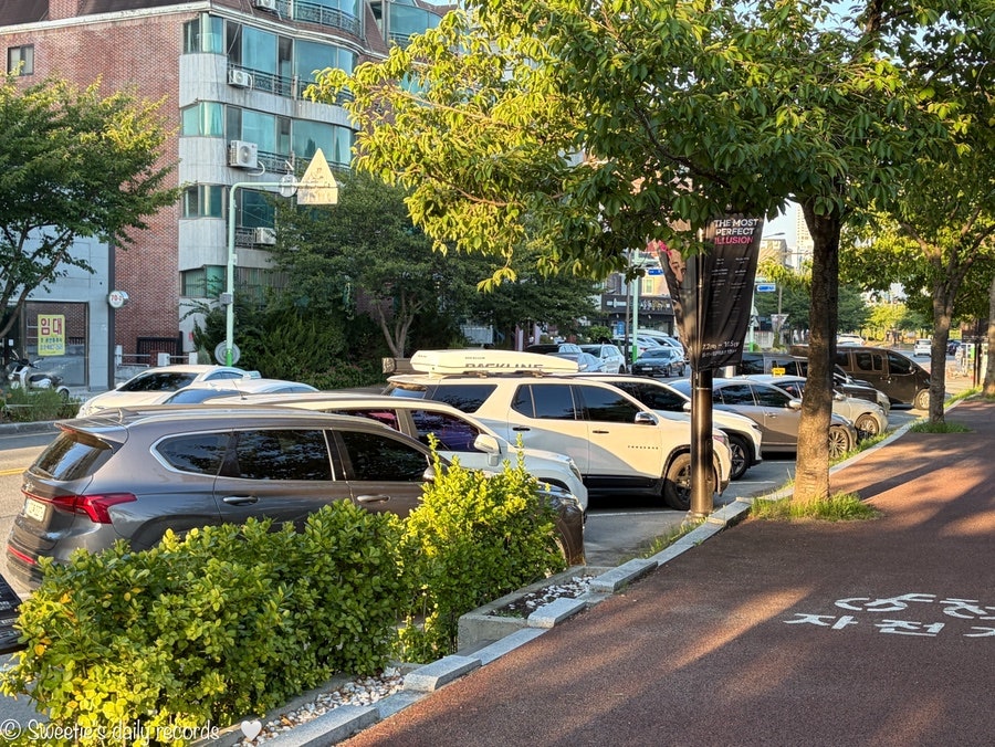 시골밥상 사진 3