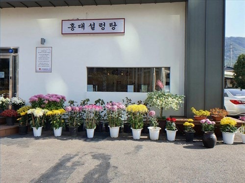 Hongdaeseolreongtang photo 2