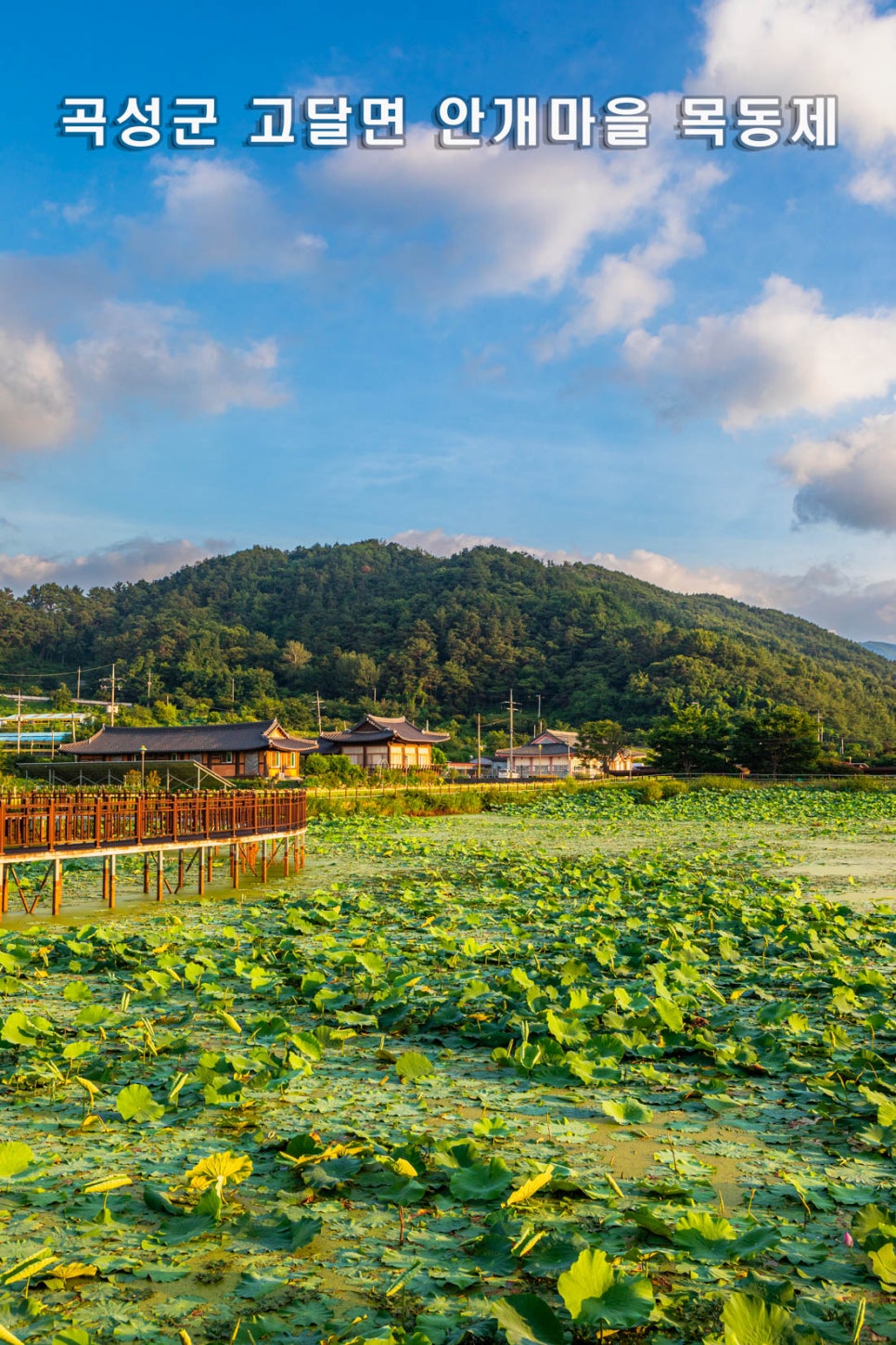 목동제 사진 1
