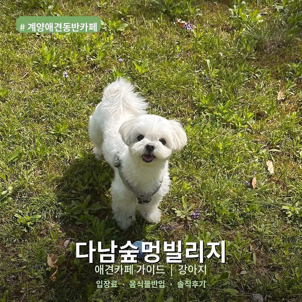 다남숲멍빌리지 사진 1