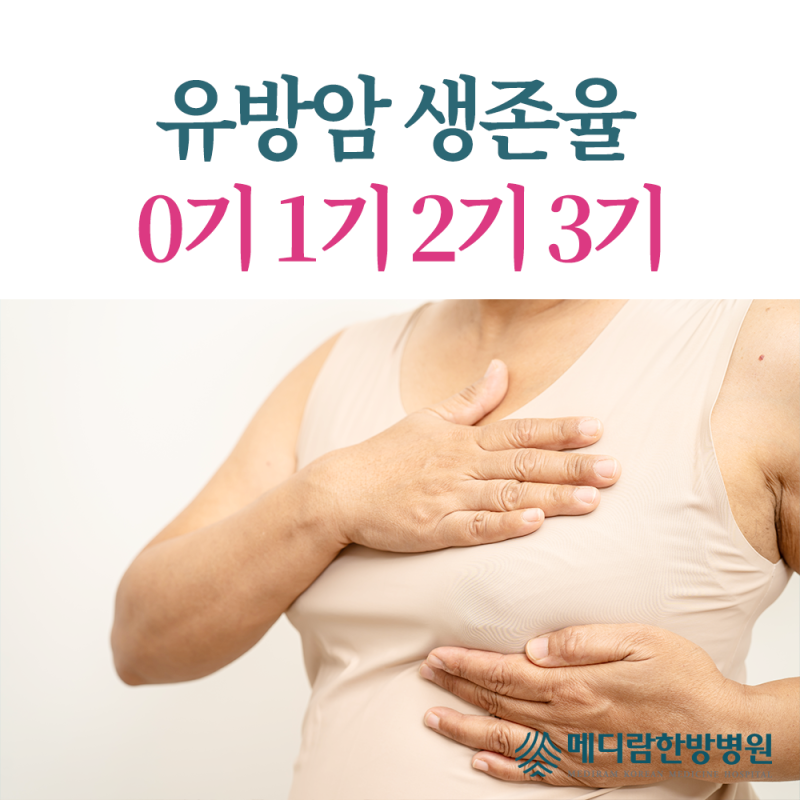 유방암 생존율 0기 1기 2기 3기 관리 방법의 핵심