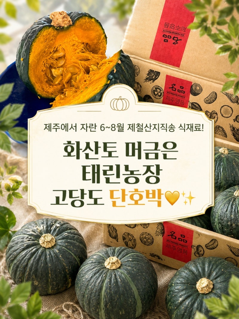 [건강 단호박 추천 ] 제주 화산토 자갈밭에서 자란 단단한 과육&고당도✨, 제주 태린농장 미....