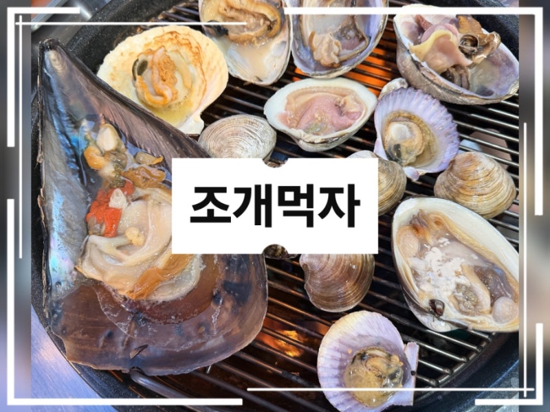 속초 맛집 [조개먹자] 속초 조개구이 맛집_수족관 가득한 활조개로 배 채우고 왔어요